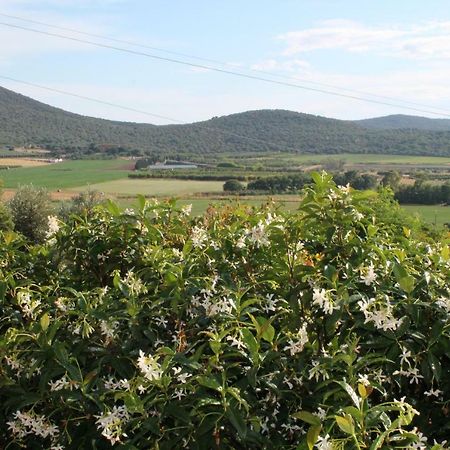 Agriturismo Podere Montenero อัลเบเรเซ ภายนอก รูปภาพ